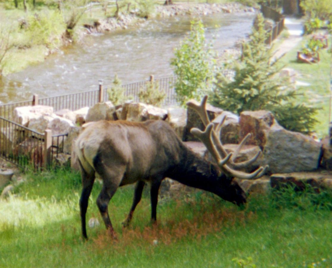 Skyline Cottages Estes Park Eksteriør bilde